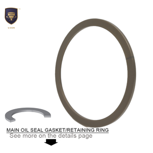 Vovolvo 140156 VOE 54140156 hidrolik silindir contası kiti VOLVO EC550 ekskavatör bom kolu Buckert tamir kiti için Fit - Product Image 4