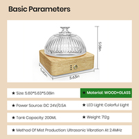 Diffuseur d'arômes pour la maison en gros, diffuseur en verre de 200 ml, réservoir en verre soufflé à la main, diffuseur d'huiles essentielles avec CE ROHS