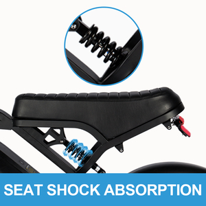 Dutch Spot <b>Electrically</b> Bike V20 48V Fat Tyres Bike 250W Fatbike Tire Ebik Cheap Dirt Bike - Product Image 4
