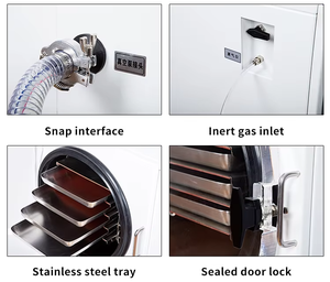 Liofilizador Digital Casero Compacto con Bandeja Opcional para Almacenamiento de Alimentos, Bomba de Vacío Doméstica - Product Image 3
