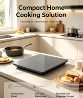 Table de cuisson à induction portable et mince 2100 W avec commande tactile et surface en verre gris
