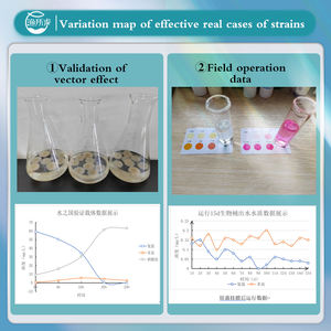 BC110 водные пробиотики денитрифицирующие Bacillus Pumilus микробные бактерии для удаления органических загрязняющих веществ аквакультура - Product Image 5