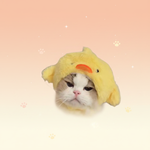 Lindo Gorro Personalizado con Forma de Animal para Mascotas, para Gatos y Perros Pequeños, Material de Poliéster, 4-13 Libras - Product Image 1