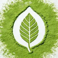 Thé vert matcha de style japonais de qualité supérieure, en vrac, 1 kg