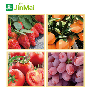 Fertilizante Compuesto OEM/ODM 15-5-15 + 10% Cal Mag, Potenciador del Peso de la Fruta y Mejorador de la Longevidad de los Cultivos, Fertilizante NPK - Product Image 4