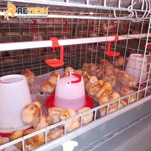 Yüksek kaliteli H tipi otomatik kümes ekipmanları pil tavuk Brooder Pullet kafes - Product Image 3