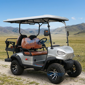 Carrito de Golf de Alta Velocidad con Bluetooth, Carrito de Golf Todoterreno Económico en Venta - Product Image 2
