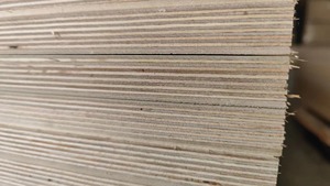 15mm épaisseur 1250*2500mm taille noyau de bouleau entier surface de placage en bois naturel surface de bouleau de hêtre pour panneau de meubles - Product Image 4