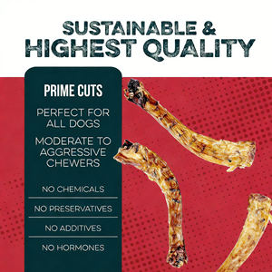 Snack per Cani a Base di Collo di Pollo Essiccato all'Aria, Fonte Naturale di Glucosamina per la Cura delle Articolazioni e la Salute Dentale, Carne Secca per Cani - Product Image 5