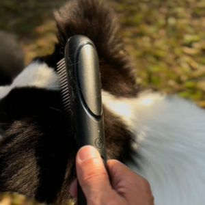 Brosse à poils d'animaux électronique, peigne <span class=keywords><strong>anti</strong></span>-<span class=keywords><strong>puces</strong></span>, rechargeable par USB, <span class=keywords><strong>pour</strong></span> chats et chiens - Product Image 3