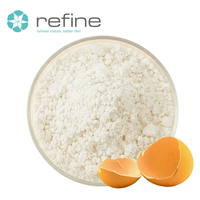 Poudre de membrane d'œuf de qualité alimentaire 95% naturelle, extrait de membrane d'œuf de poulet en vrac pour compléments alimentaires
