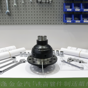 Différentiel à glissement limité (LSD) XJX Factory de haute qualité avec structure Torsen pour <span class=keywords><strong>BMW</strong></span> E46 330i - Product Image 1