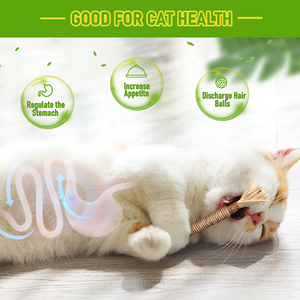 100% <b>Natural</b> Cat Silver Catnip Rattan Dental Care Mix StickKitten Mint Tooth Cleaning Stick Cat Chew Stick Toys - Product Image 3
