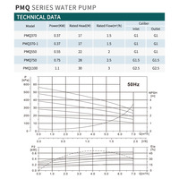 Pompe de drainage submersible PMQ550 550W 0.75HP avec joint mécanique antirouille pour drainage industriel et pompe à eau de jardin, moteur antirouille