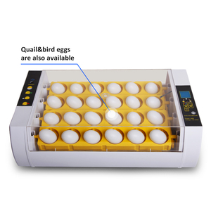 WONEGG <span class=keywords><strong>Couveuse</strong></span> Smart <span class=keywords><strong>Mini</strong></span> <span class=keywords><strong>24</strong></span> Oeufs Marqué CE Entièrement Automatique pour Poulet Perroquet - Product Image 2