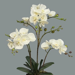Planta Artificial de Orquídea Mariposa en Maceta para Decoración de Sala de Estar, <span class=keywords><strong>Hotel</strong></span>, Mueble de TV, Orquídea Artificial Impresa en 3D en China - Product Image 4