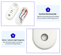Boîtier de prise intelligente standard mondial EU US UK AU FR, résistant au feu PC V0, avec prise USB, pour appareil IoT
