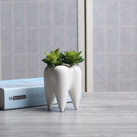 Vase en céramique en forme de dent Pots de jardinière succulente Pot de fleur Conteneur de stylo