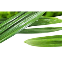 Pasokan pabrik larut instan 100% bubuk ekstrak daun Pandan alami bubuk daun Pandan bubuk Pandan