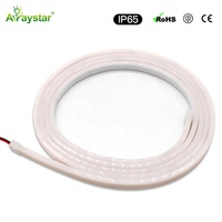 Tube en silicone flexible et étanche COB light IP67 led strip light éclairage extérieur laiteux diffuseur led strip