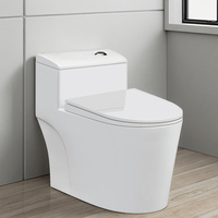 Sanitaires d'hôtel modernes, WC monobloc à double chasse, chasse cyclonique, céramique blanche, montage au sol, siphon en S, hôpital/villa