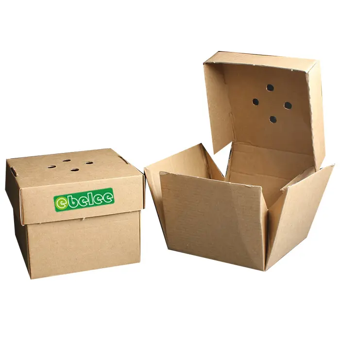 China Supplier Good Price Hamburger Packed Container Made of Corrugated Paper Takeaway