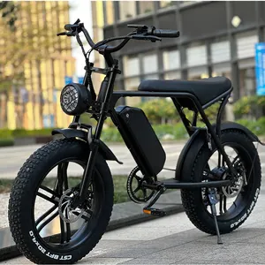 Double moteur de vélo électrique tout-terrain avec support, livraison directe de gros pneus, entrepôt de l'ue et des états-unis