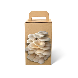 Eco Friendly Organic Oyster Mushroom Growing Kit Gift Boxes Mushrooms Grow Box