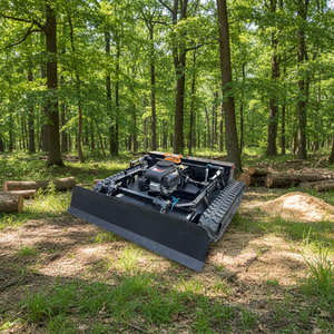 Cortacésped con Control Remoto - Product Image 1