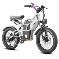 Bicicleta Eléctrica de Montaña Eahora Cupid 1000W, Batería de Litio 48V 60Ah, Pantalla LCD, Neumáticos Anchos, Cuadro de Acero, Precio FOB OEM