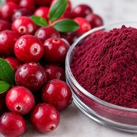 Extrait de Canneberge Naturel en Poudre 25% 50% PACs Qualité Alimentaire Certifié Halal Testé HPLC Extrait par Solvant pour la Santé Urinaire