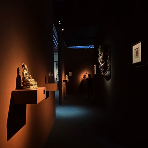 Hiện đại 9 wát Dimmable <span class=keywords><strong>Zoom</strong></span> LED theo dõi Spotlight Bảo tàng Gallery triển lãm Hall chiếu sáng Nhôm Cơ thể <span class=keywords><strong>COB</strong></span> 220V 3-wire cửa hàng sử dụng - Product Image 5