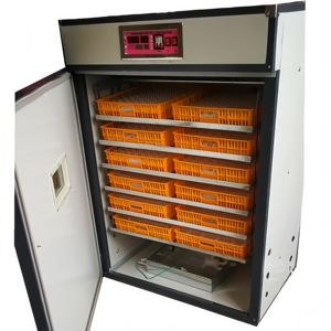 Nouvel incubateur à œufs 1056 pour l'élevage de volailles, machine à couver les œufs à vendre - Product Image 3