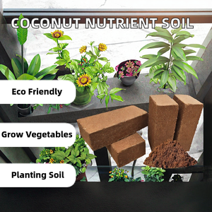 Brique de culture en fibre de coco hydratante pour semis de pépinière, propagation de plantes, culture de légumes et agriculture de jardin - Product Image 2