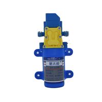 Pulvérisateur à pompe à eau à diaphragme auto-amorçante DP-628N, pression 0,7 MPa, débit 4 L/min, pour machines de protection des plantes Xingtailang