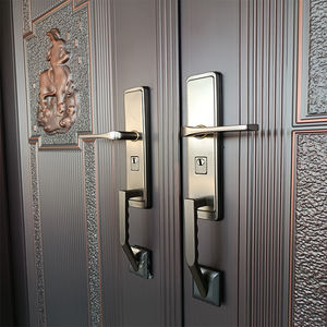 TECHTOPモダンな高級金属製ダブルドア厚手の葉のフロントカービング、ハウス用スチールゲートまたはプージャルーム用 - Product Image 6