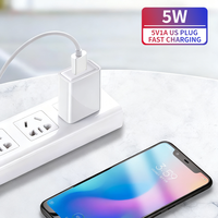 Adaptateur d'alimentation universel USB PD à charge rapide 5V 1A 5W, respectueux de l'environnement, double protection, pour téléphones mobiles, écouteurs intelligents