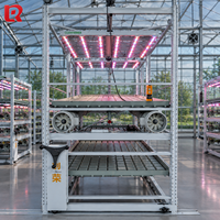 Table de culture hydroponique à flux et reflux sur rail, fabriquée en Chine, pour serres commerciales – Offre Spéciale