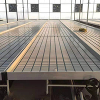 GT nouveau plateau de croissance Premium 4x8 plateaux d'inondation ebb et système de flux banc roulant tables de croissance