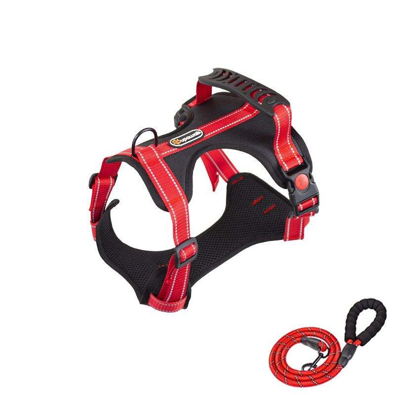 Black+Red Leash