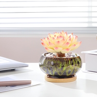 Jolies jardinières en céramique pour plantes succulentes, finition craquelée, en forme de tasse à thé, avec drainage et soucoupe en bambou