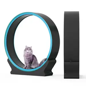 Großhandel Katzen spielzeug ABS High-End-Laufband Mode Avantgarde Cat Laufband Rad Silent Cat Roller