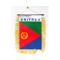 Ensemble d'accessoires de supporter sur le thème du drapeau national pour événements sportifs et célébrations, personnalisable, vente en gros, Erythrée