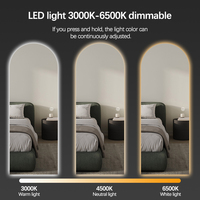 Modern Salon Edge Frameless Full Body Mirror Living Room LED Dressing Mirror Bedroom Wall Hanging Arch Full Length Mirror