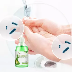 Rayshine Vente en gros Savon liquide personnalisé de marque privée à l'essence d'aloès pour le lavage des mains Stérilisation avec tête de pompe 500ml