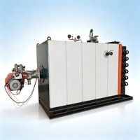 Generator Uap Tingkat Keamanan Tinggi yang Ditenagai Pelet Biomassa untuk Pemanasan Mesin Industri