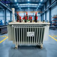 SinoShine S22 Dış Mekan Tamamen Sızdırmaz Yağlı Güç Trafosu 10kV 0.4kV 3 Faz Fabrika Direkt Tedarik