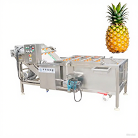 Automatische Saffraanreinigingsmachine Kruidenwasapparatuur