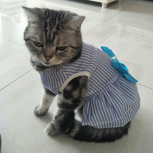 Chat chiot princesse robe été vêtements pour animaux de compagnie rayé robes à carreaux avec nœud pour chats chaton lapin <span class=keywords><strong>Sphynx</strong></span> vêtements ropa para gato - Product Image 4