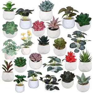 Vente en gros de plantes succulentes de haute qualité artificielles dans de mini pots en céramique blanche petites fausses plantes succulentes